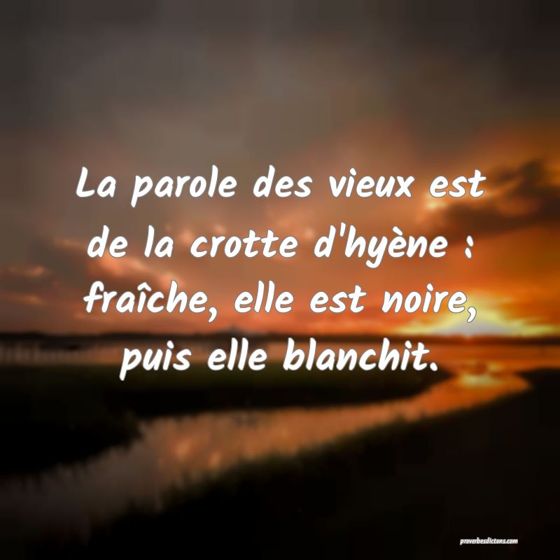 La parole des vieux est de la crotte d'hyène : fraîche, elle est noire, puis elle blanchit.