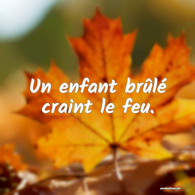 Un enfant brûlé craint le feu.