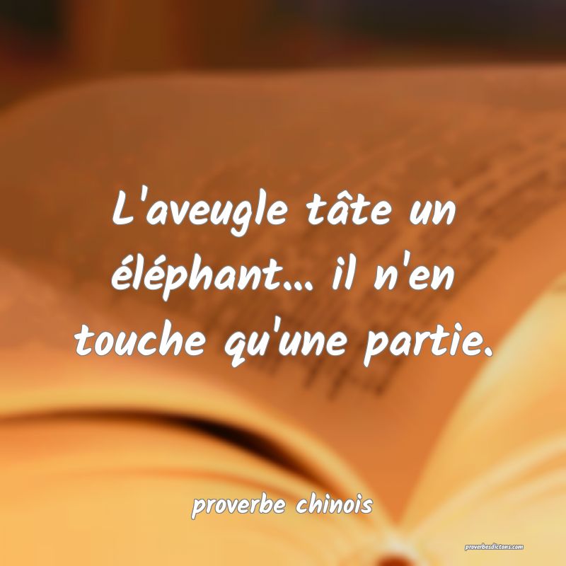  L'aveugle tâte un éléphant... il n'en touche qu'une partie.