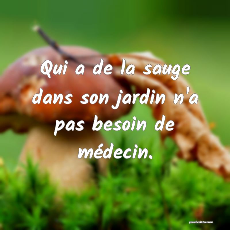 Qui a de la sauge dans son jardin n'a pas besoin de médecin.