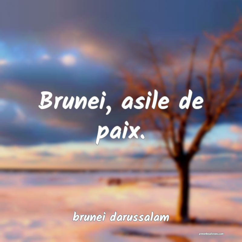  Brunei, asile de paix.
