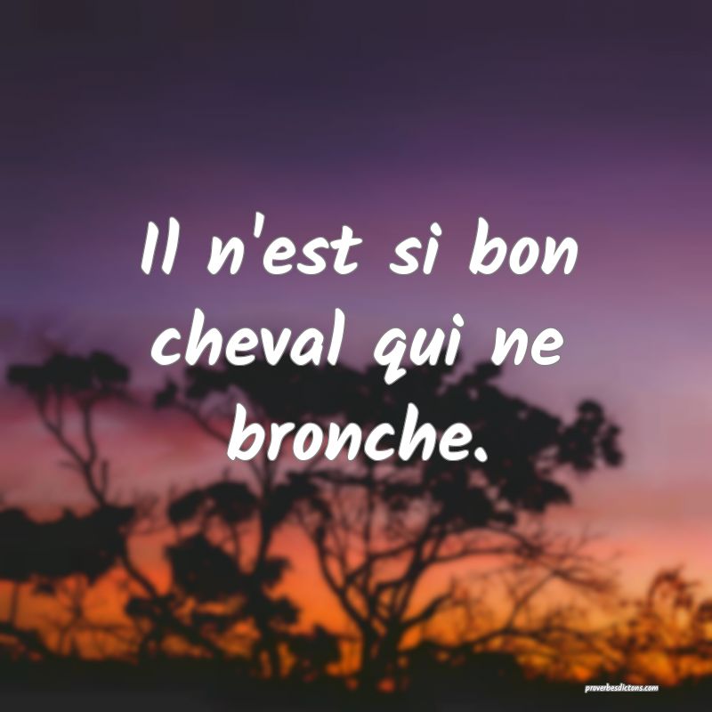 Il n'est si bon cheval qui ne bronche.