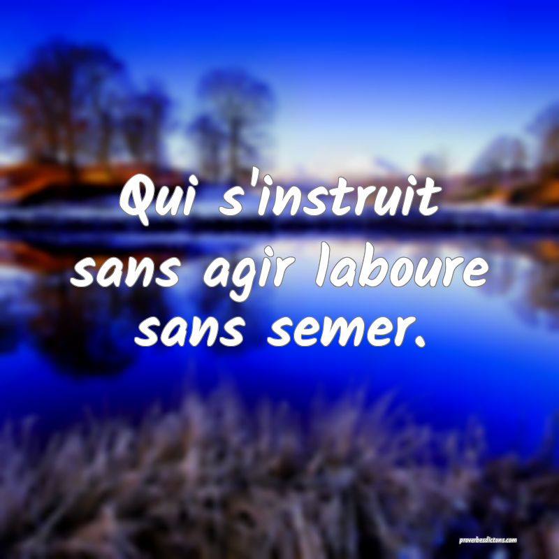 Qui s'instruit sans agir laboure sans semer.