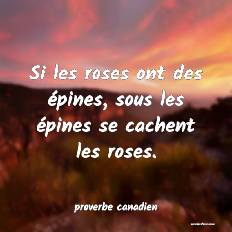 Si les roses ont des épines, sous les épines se cachent les roses.