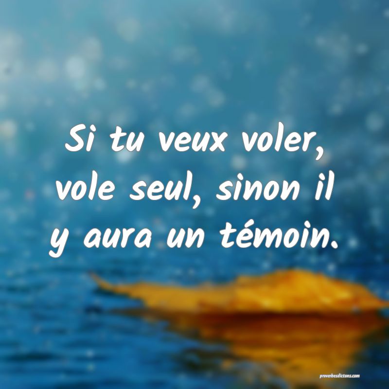 Si tu veux voler, vole seul, sinon il y aura un témoin.
