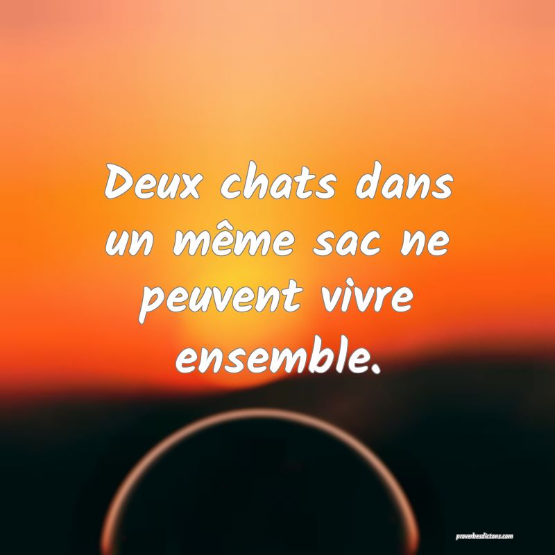 Deux chats dans un même sac ne peuvent vivre ensemble.