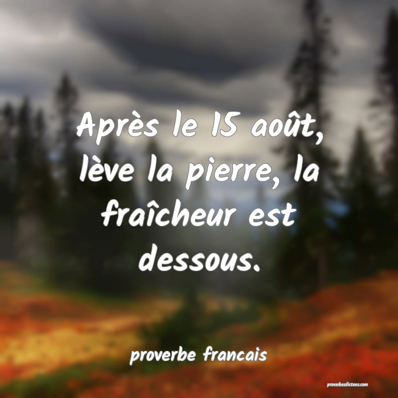 Après le 15 août, lève la pierre, la fraîcheur est dessous.
