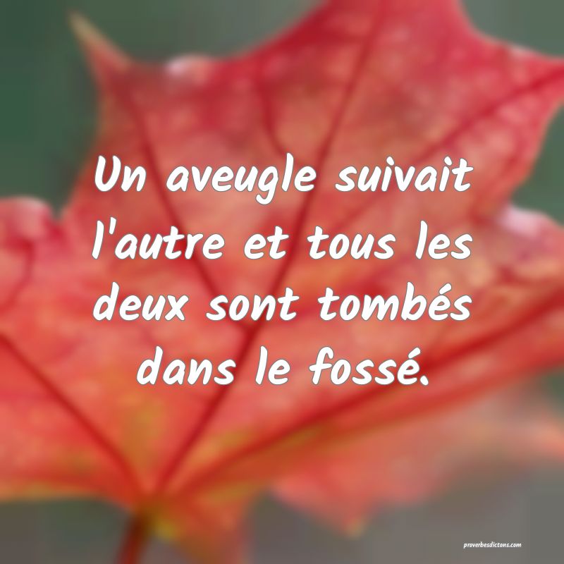 Un aveugle suivait l'autre et tous les deux sont tombés dans le fossé.
