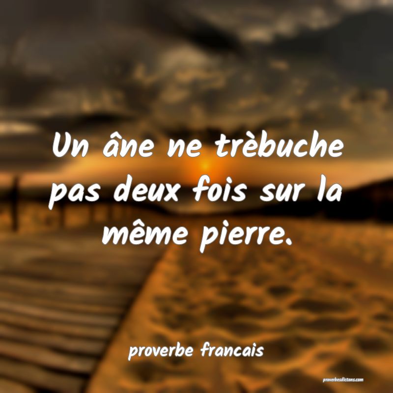Un âne ne trèbuche pas deux fois sur la même pierre.