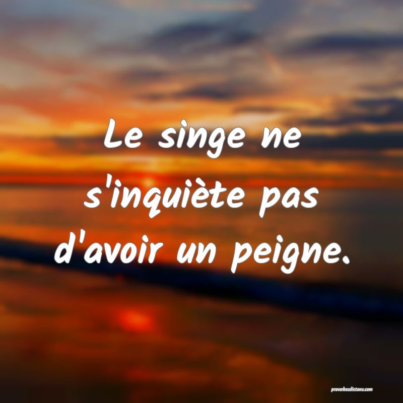 Le singe ne s'inquiète pas d'avoir un peigne.