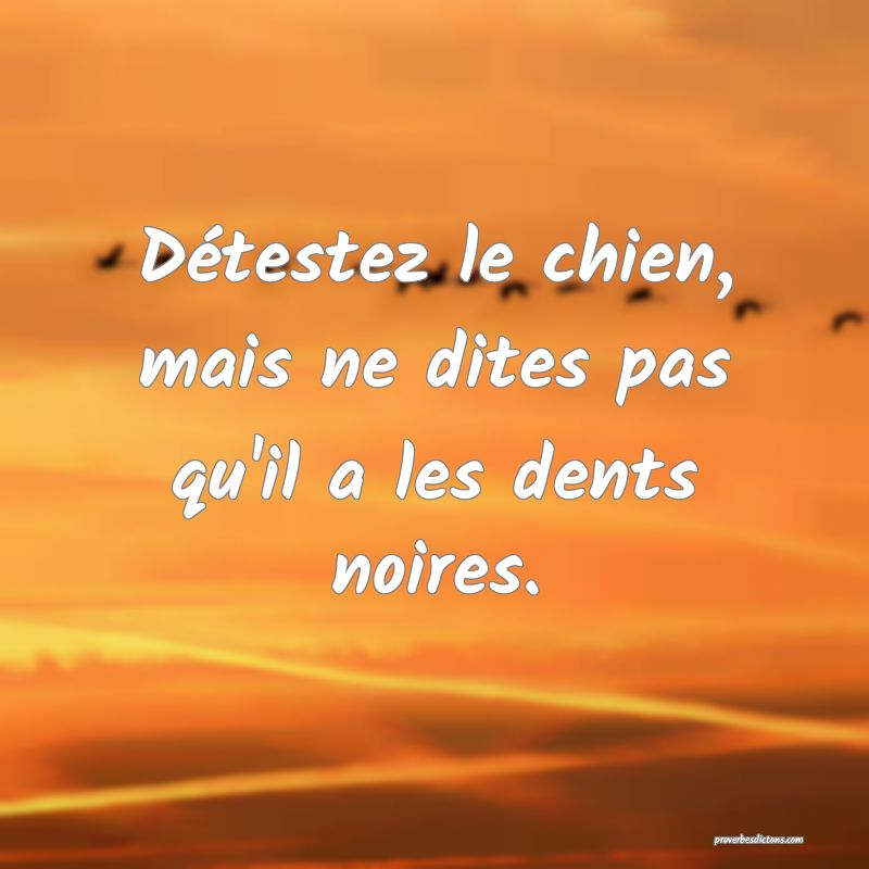 Détestez le chien, mais ne dites pas qu'il a les dents noires.