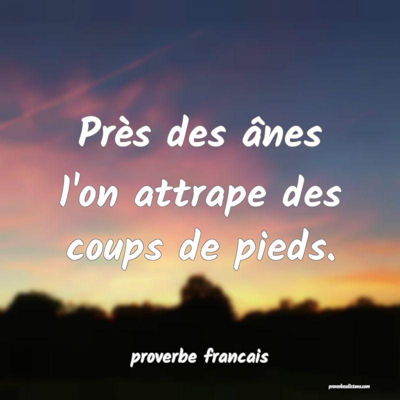 Près des ânes l'on attrape des coups de pieds.