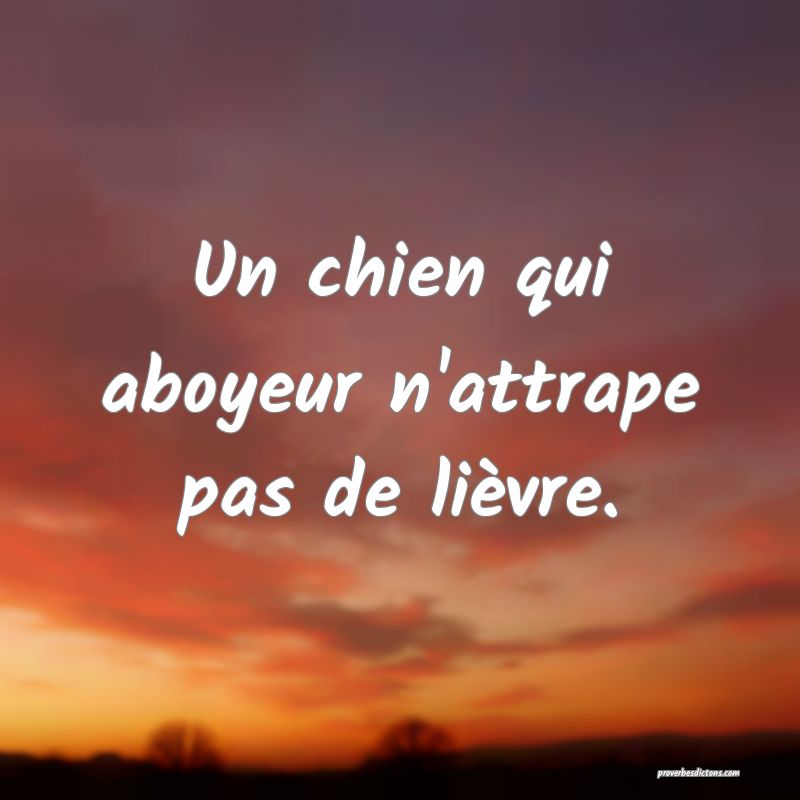 Un chien qui aboyeur n'attrape pas de lièvre.
