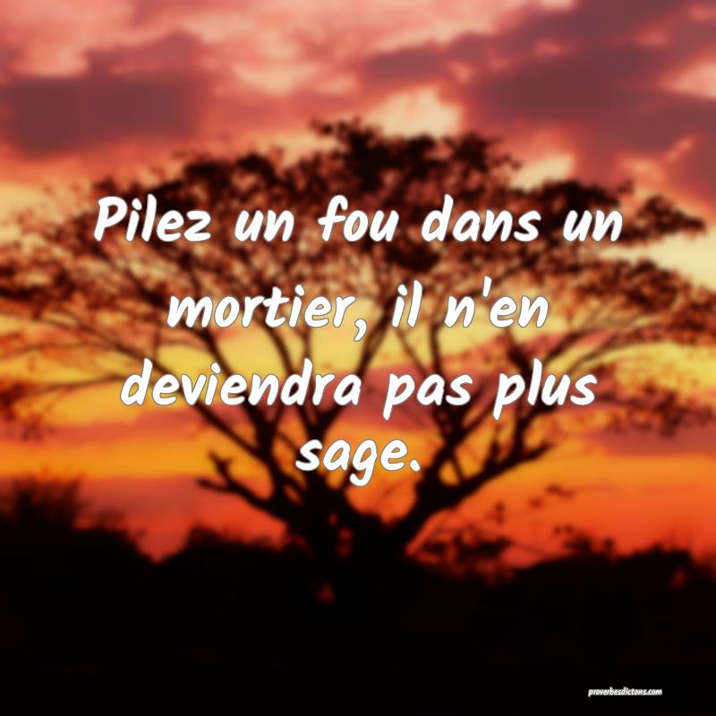 Pilez un fou dans un mortier, il n'en deviendra pas plus sage.