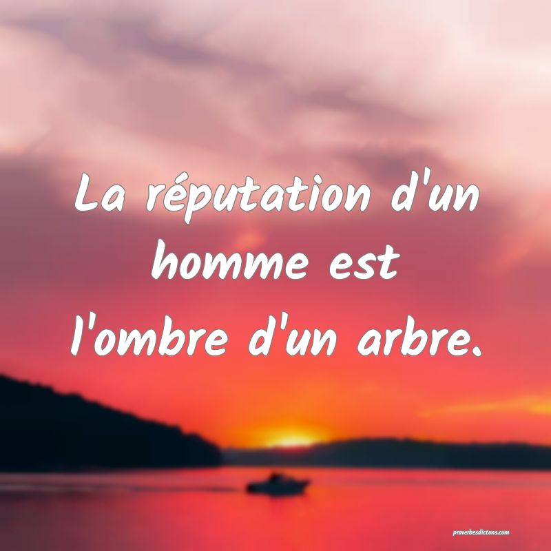 La réputation d'un homme est l'ombre d'un arbre.