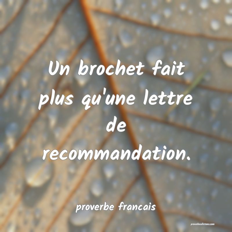 Un brochet fait plus qu'une lettre de recommandation.