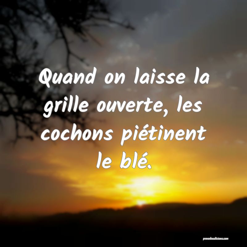 Quand on laisse la grille ouverte, les cochons piétinent le blé.