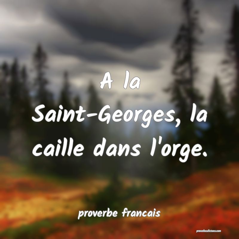 A la Saint-Georges, la caille dans l'orge.