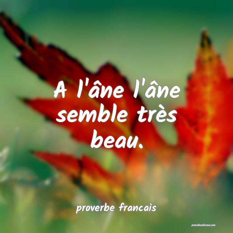 A l'âne l'âne semble très beau.