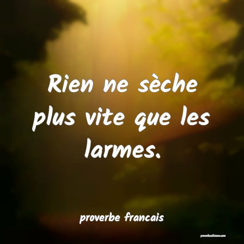 Rien ne sèche plus vite que les larmes.