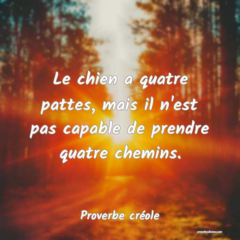 Le chien a quatre pattes, mais il n'est pas capable de prendre quatre chemins.