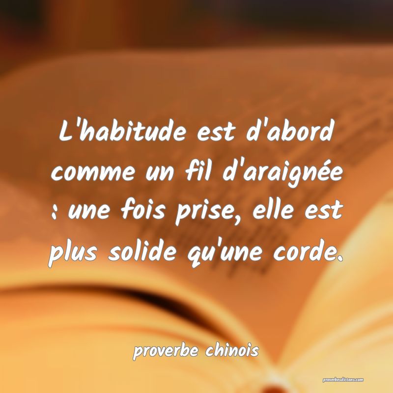 L'habitude est d'abord comme un fil d'araignée : une fois prise, elle est plus solide qu'une corde.