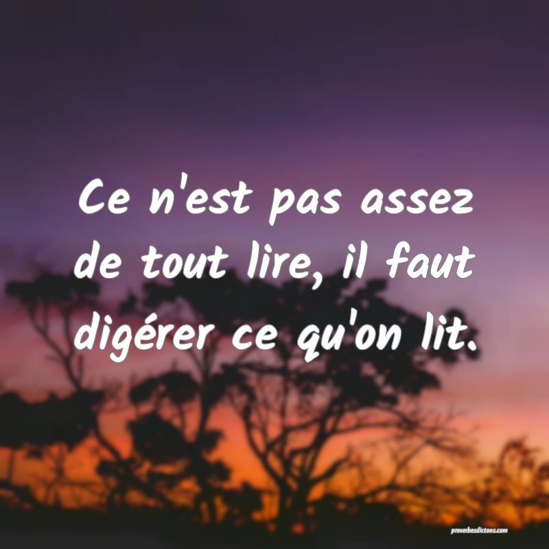 Ce n'est pas assez de tout lire, il faut digérer ce qu'on lit.