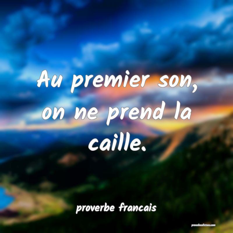 Au premier son, on ne prend la caille.