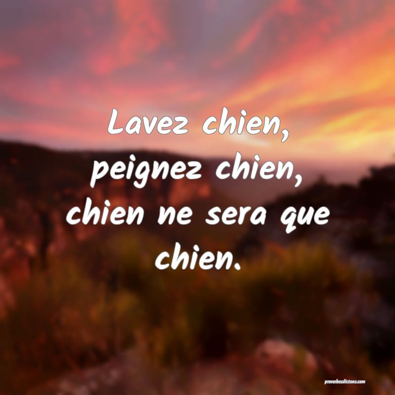 Lavez chien, peignez chien, chien ne sera que chien.