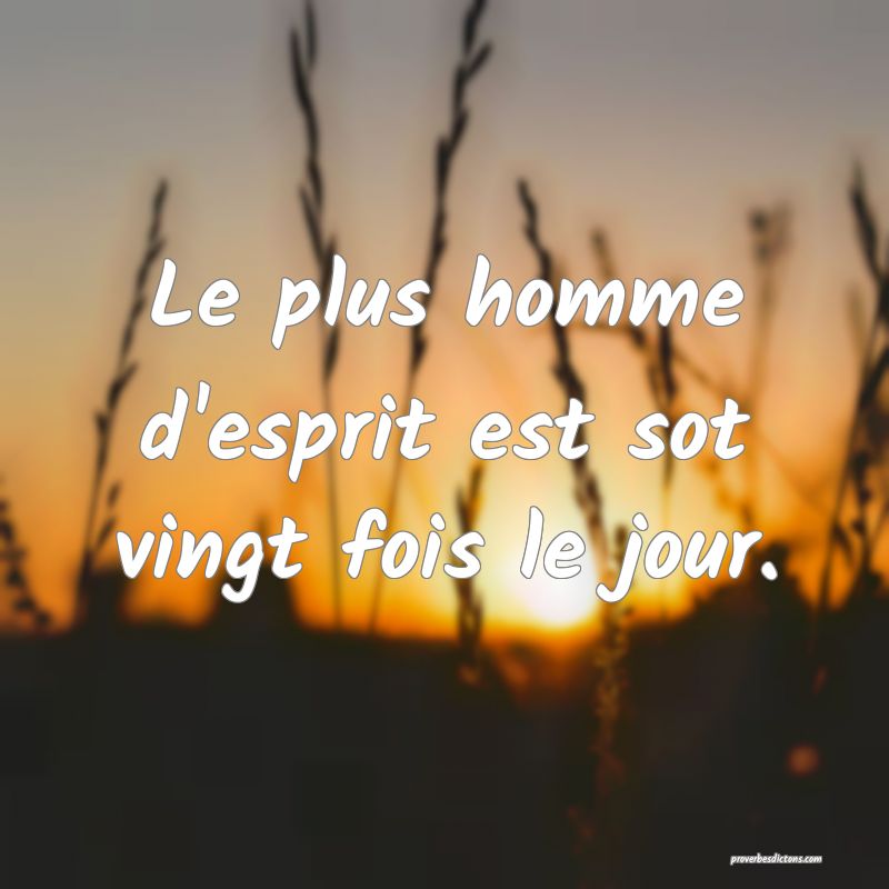 Le plus homme d'esprit est sot vingt fois le jour.