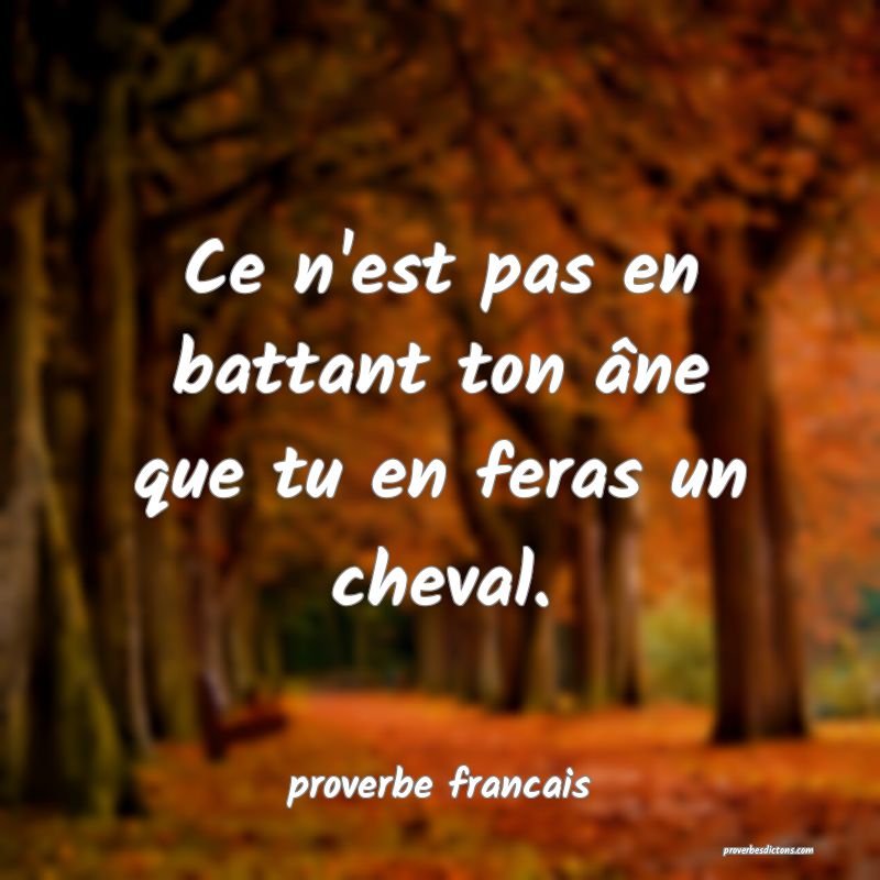Ce n'est pas en battant ton âne que tu en feras un cheval.