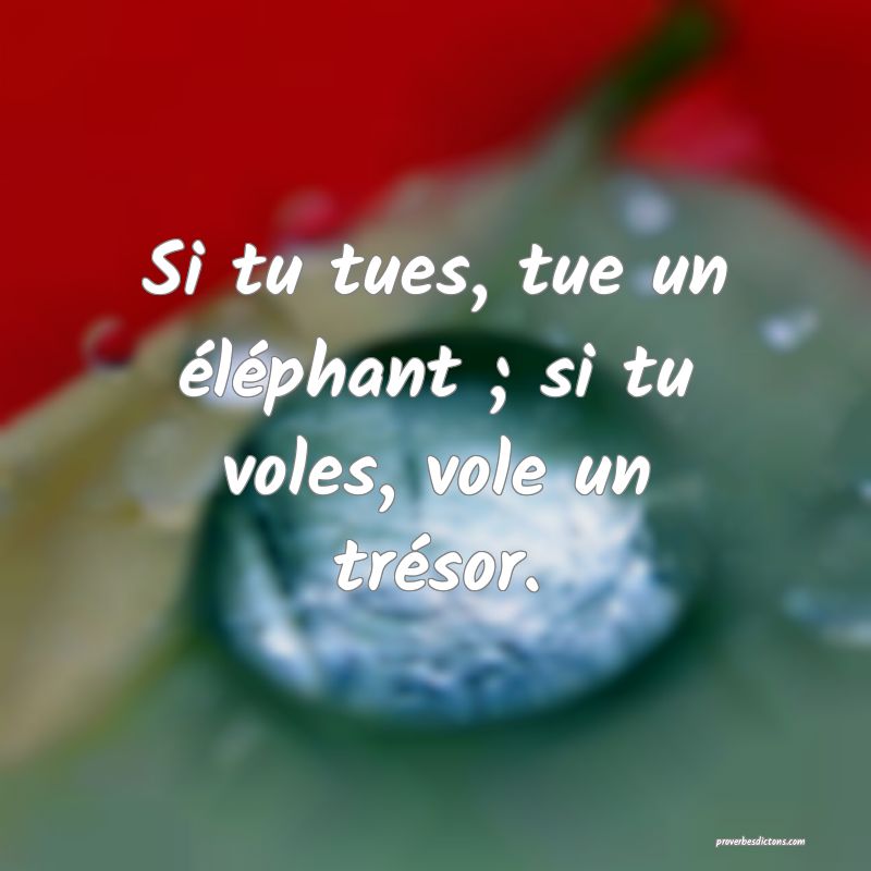 Si tu tues, tue un éléphant ; si tu voles, vole un trésor.