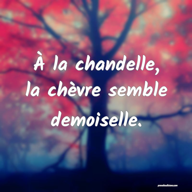 À la chandelle, la chèvre semble demoiselle.