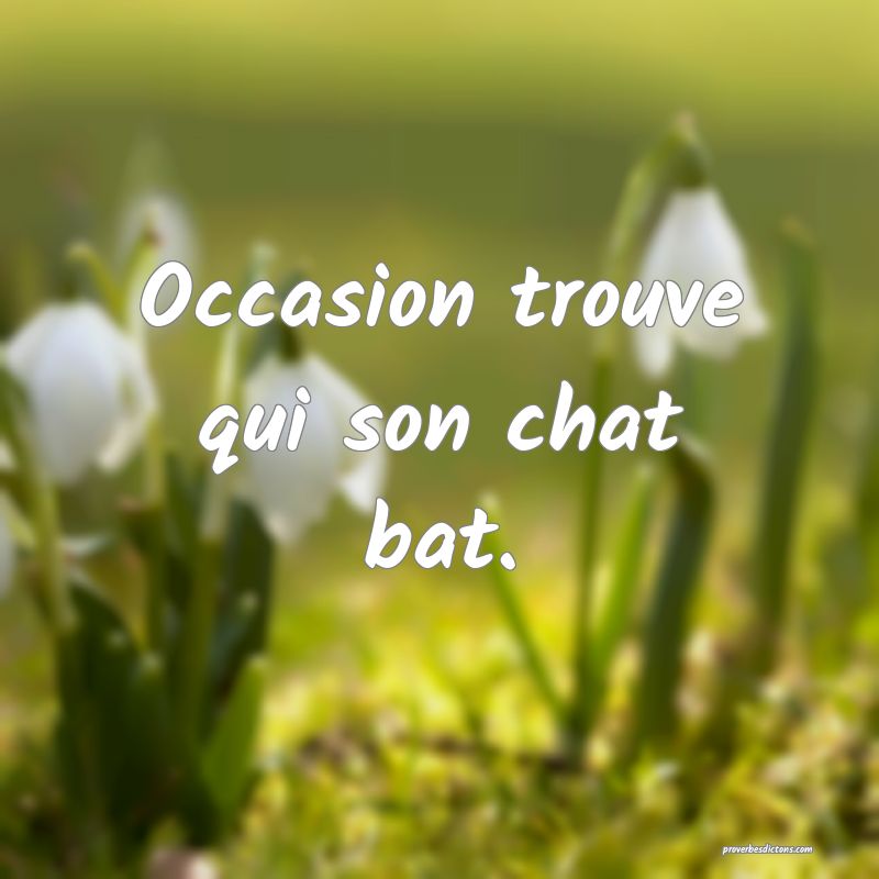 Occasion trouve qui son chat bat.