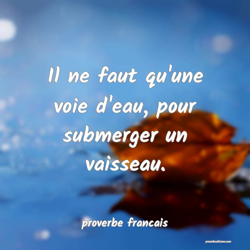 Il ne faut qu'une voie d'eau, pour submerger un vaisseau.