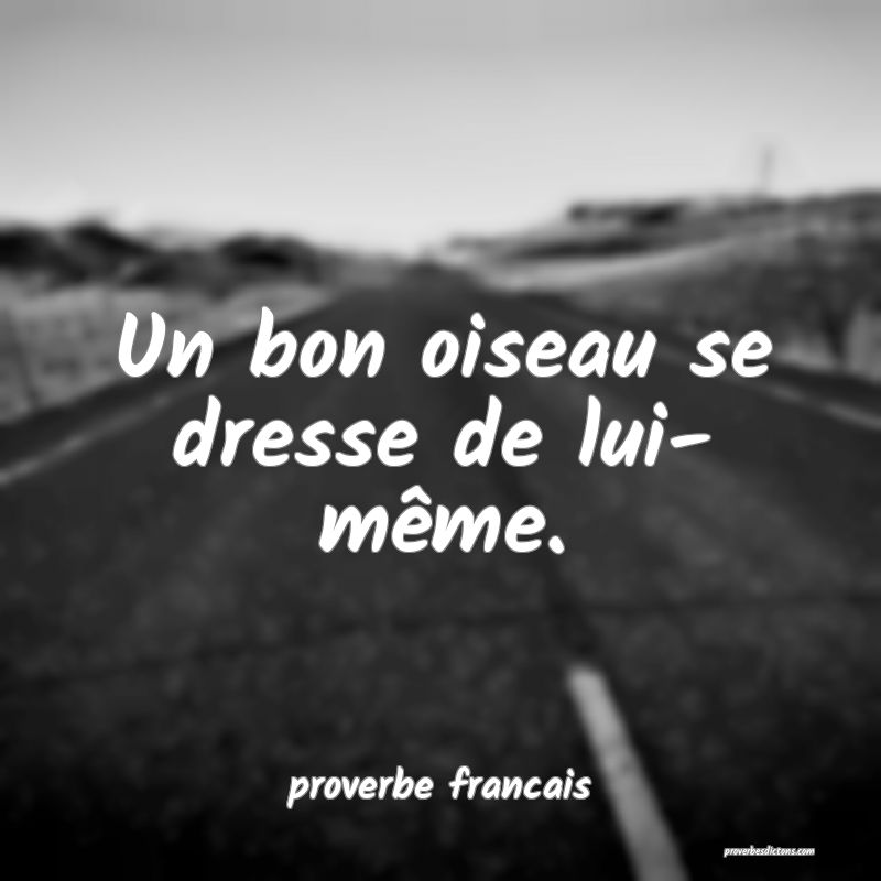 Un bon oiseau se dresse de lui- même.