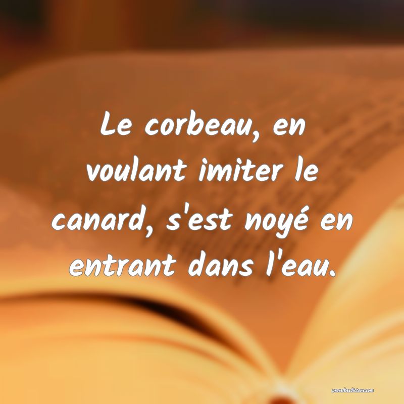 Le corbeau, en voulant imiter le canard, s'est noyé en entrant dans l'eau.
