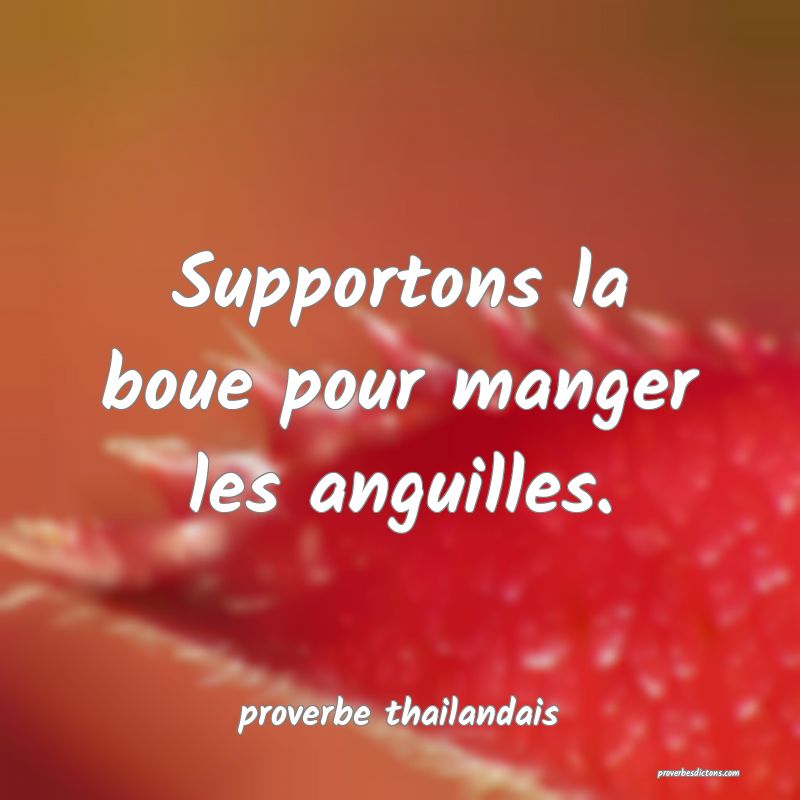 Supportons la boue pour manger les anguilles.