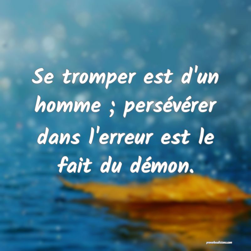 Se tromper est d'un homme ; persévérer dans l'erreur est le fait du démon.