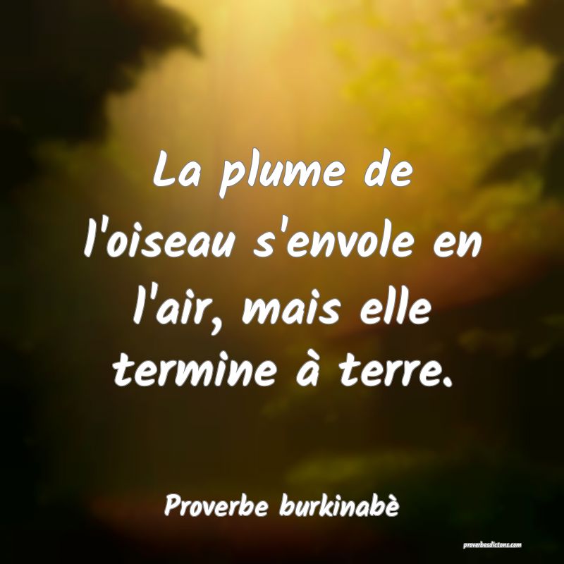  La plume de l'oiseau s'envole en l'air, mais elle termine à terre.