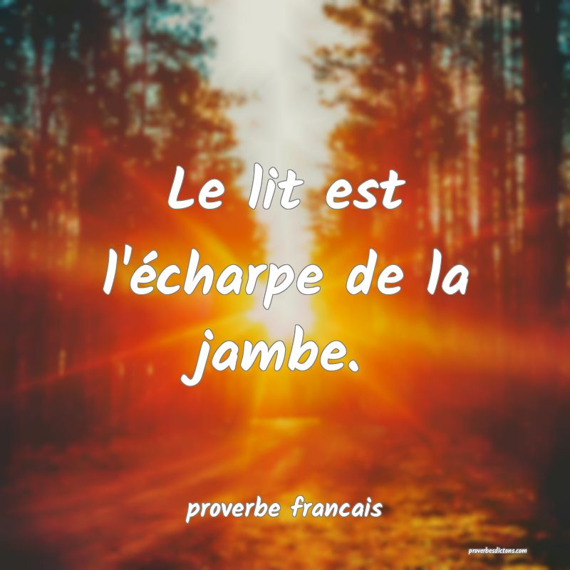 Le lit est l'écharpe de la jambe.