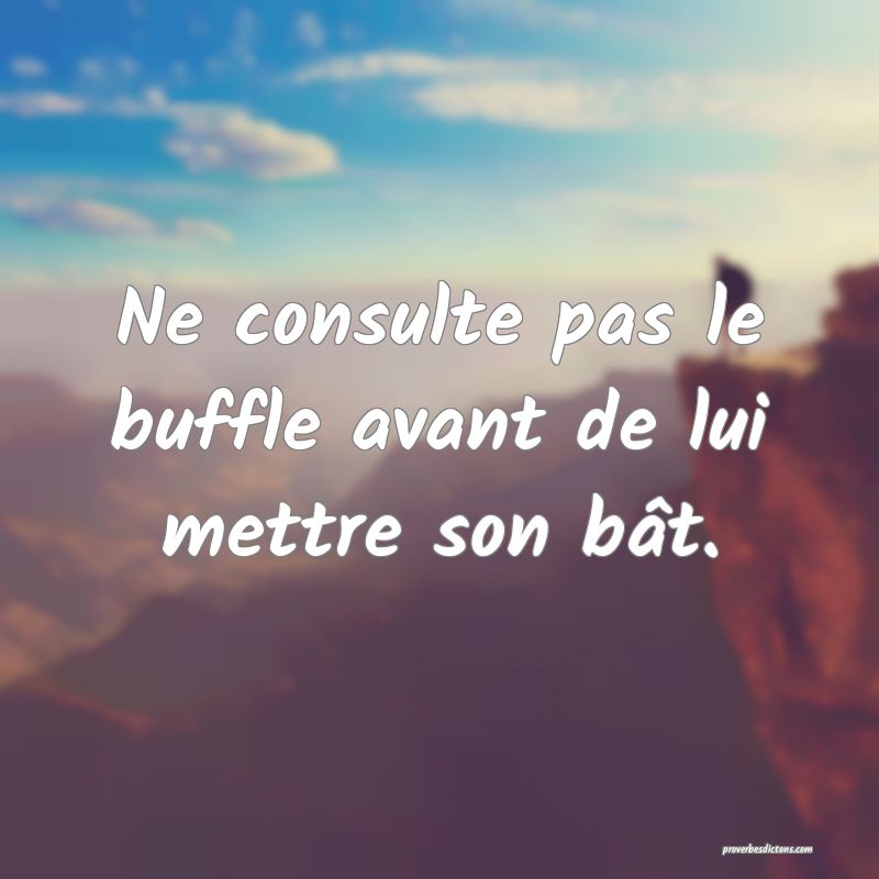 Ne consulte pas le buffle avant de lui mettre son bât.