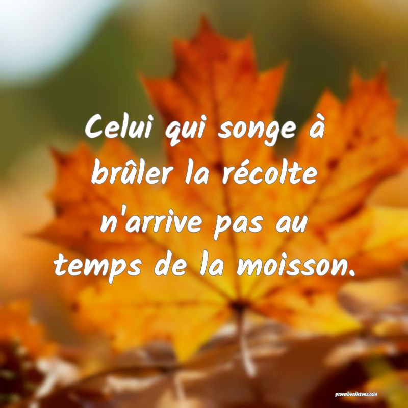 Celui qui songe à brûler la récolte n'arrive pas au temps de la moisson.