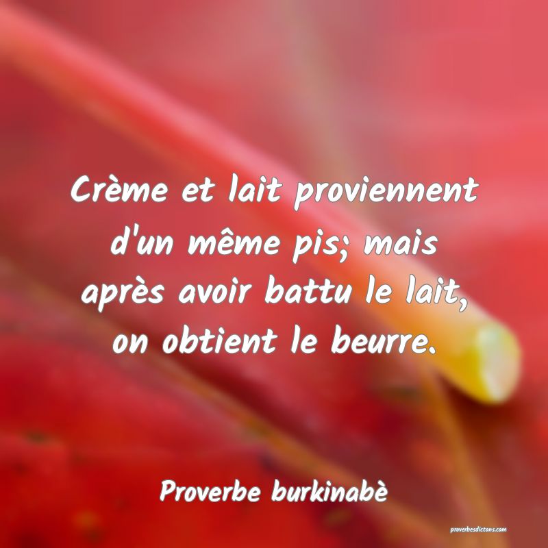  Crème et lait proviennent d'un même pis; mais après avoir battu le lait, on obtient le beurre.