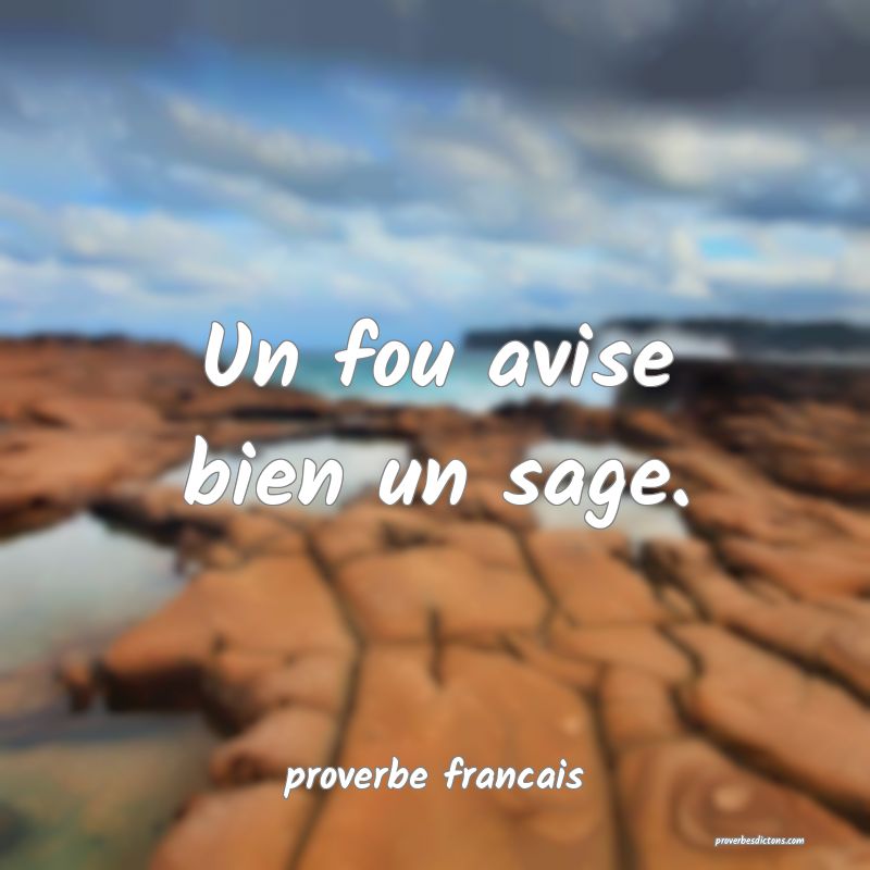 Un fou avise bien un sage.