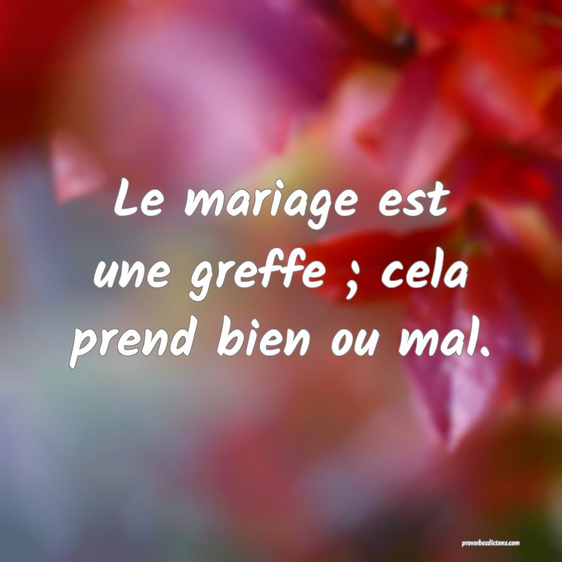 Le mariage est une greffe ; cela prend bien ou mal.