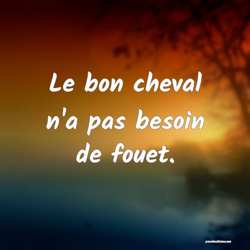 Le bon cheval n'a pas besoin de fouet.