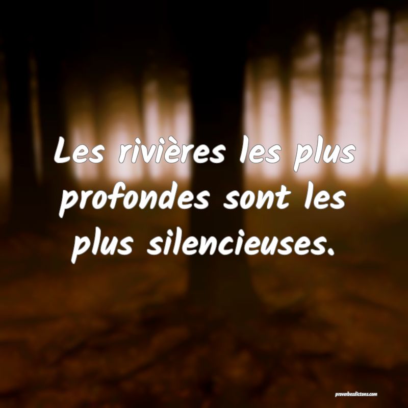 Les rivières les plus profondes sont les plus silencieuses.