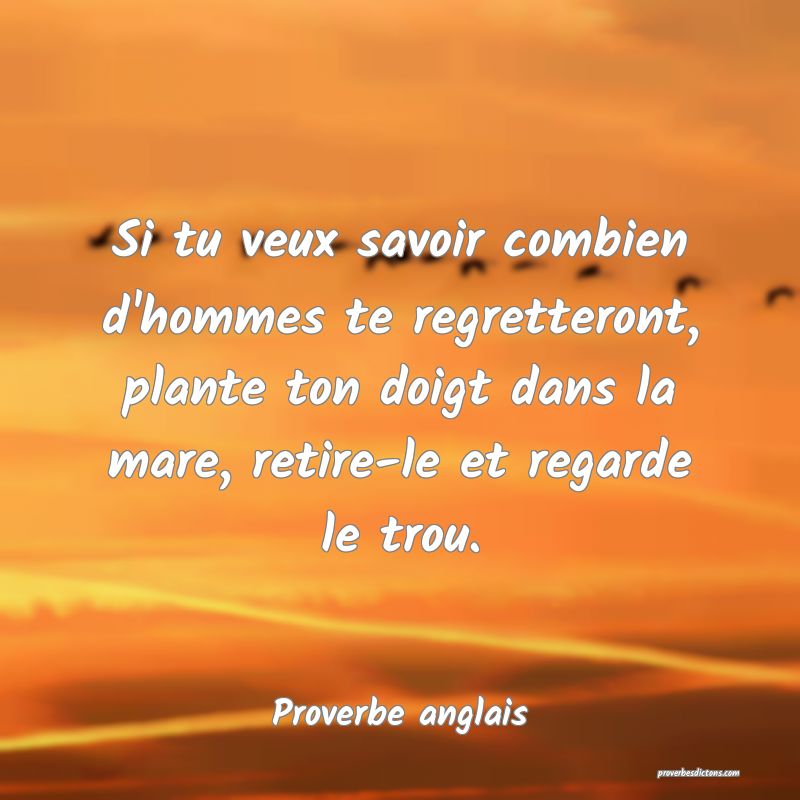 Si tu veux savoir combien d'hommes te regretteront, plante ton doigt dans la mare, retire-le et regarde le trou.