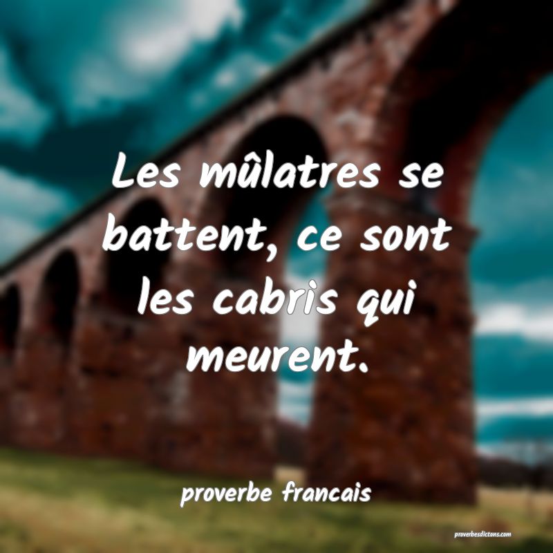 Les mûlatres se battent, ce sont les cabris qui meurent.